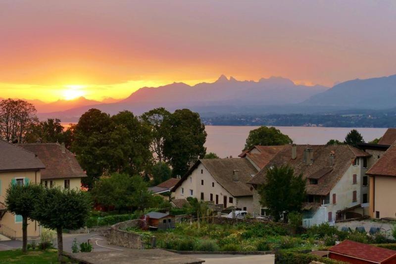 Appartement Cosy Et Confortable A Deux Pas Du Lac エクヌヴェクス エクステリア 写真